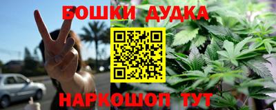 PSILOCYBIN Новодвинск